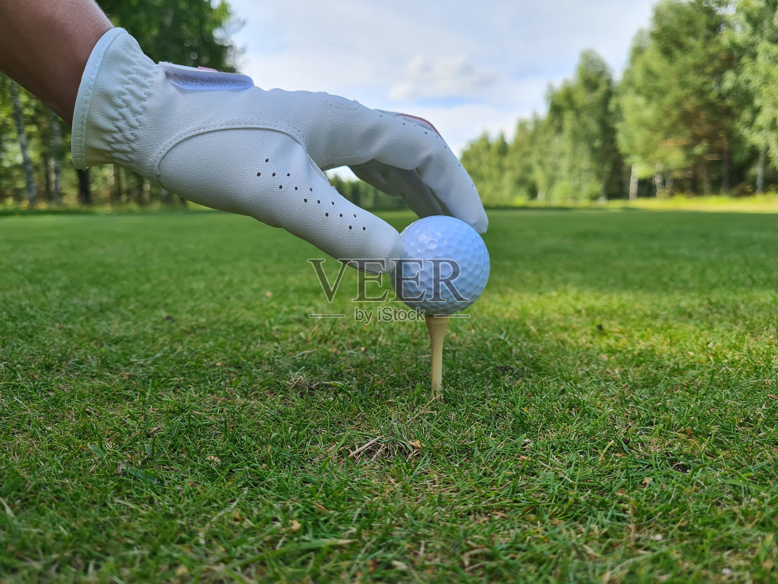 高尔夫球手把高尔夫球在一个美丽的高尔夫球场与蓝天照片摄影图片