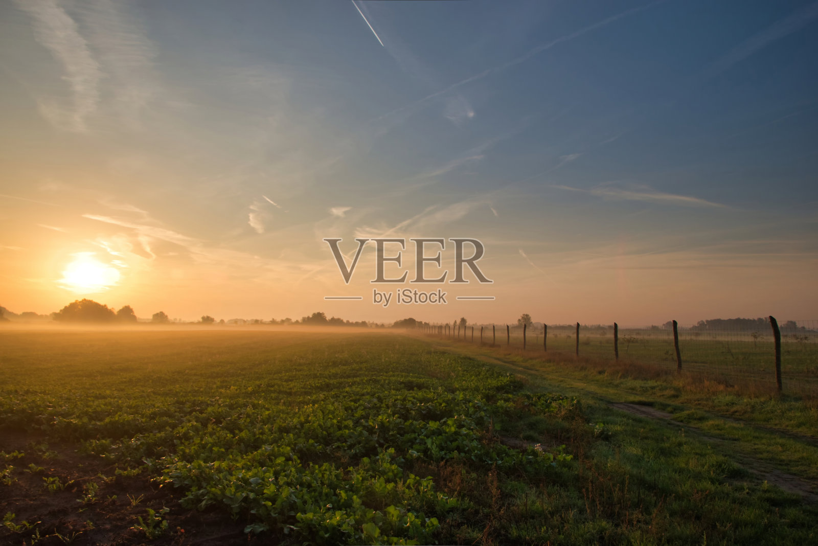 山水秋雾日出自然照片摄影图片