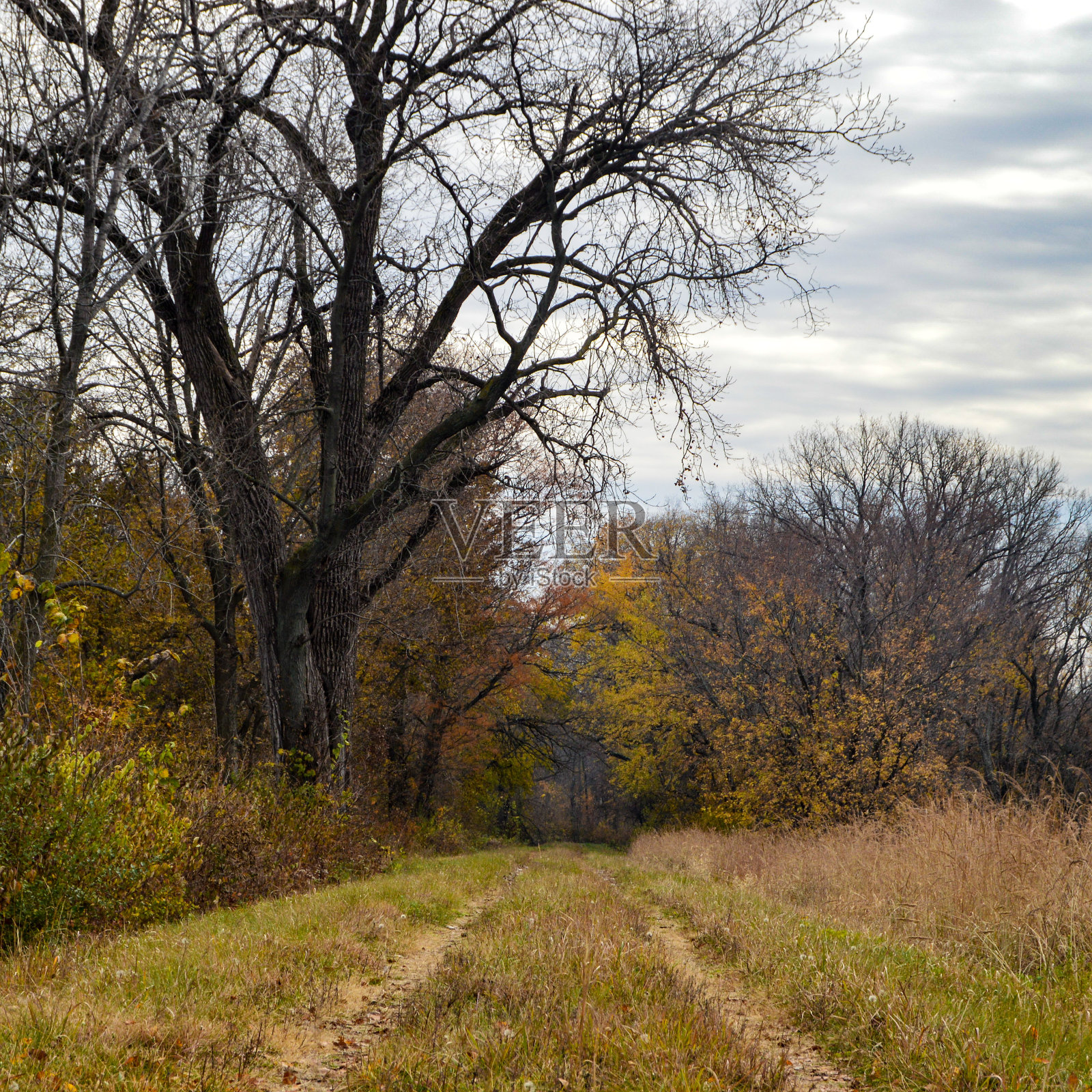 车道照片摄影图片