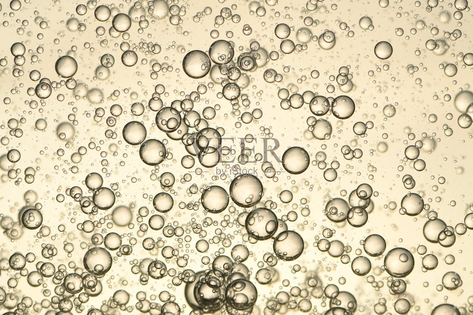 金香槟照片摄影图片