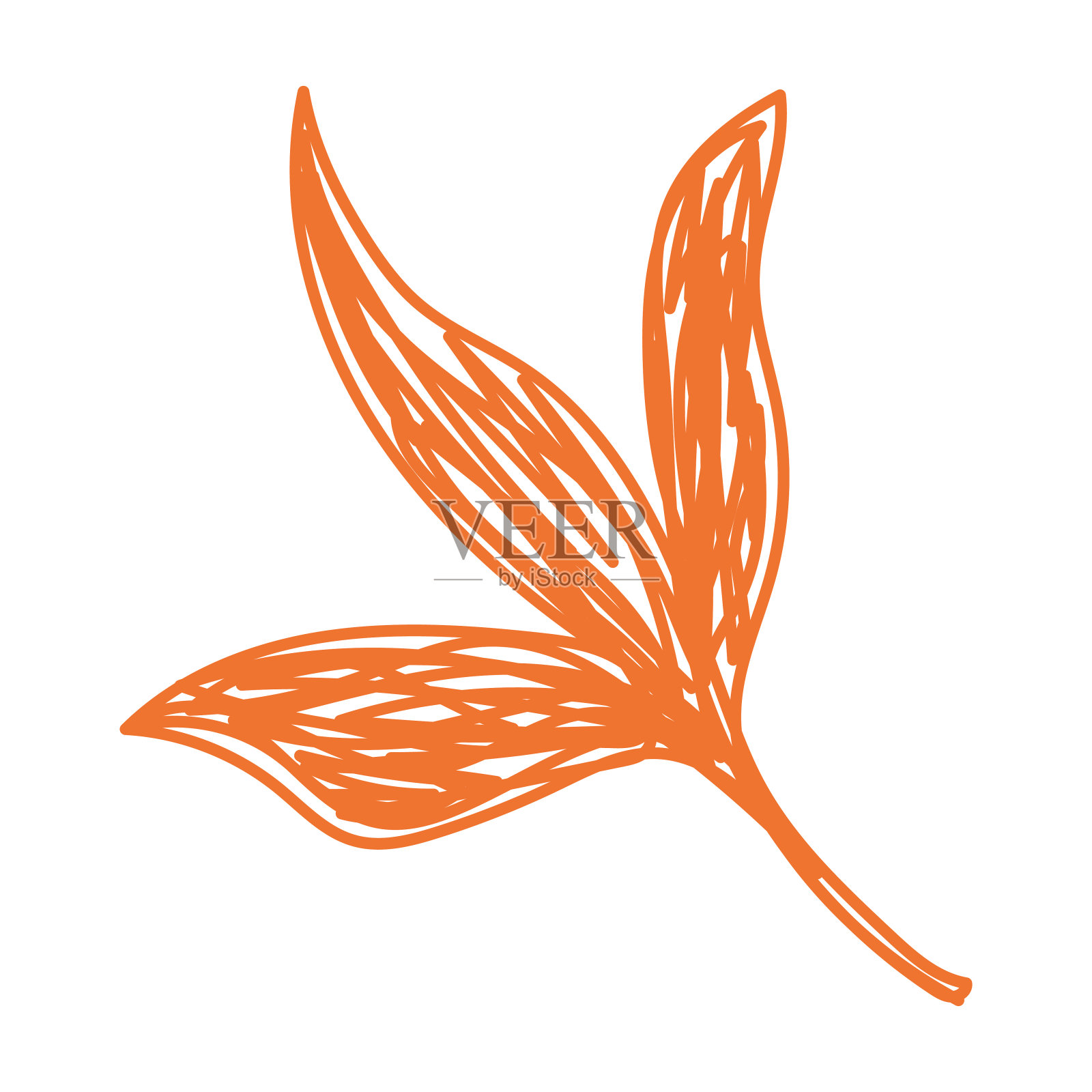 秋天叶子草图。手绘矢量插图。钢笔或记号笔涂鸦植物插画图片素材