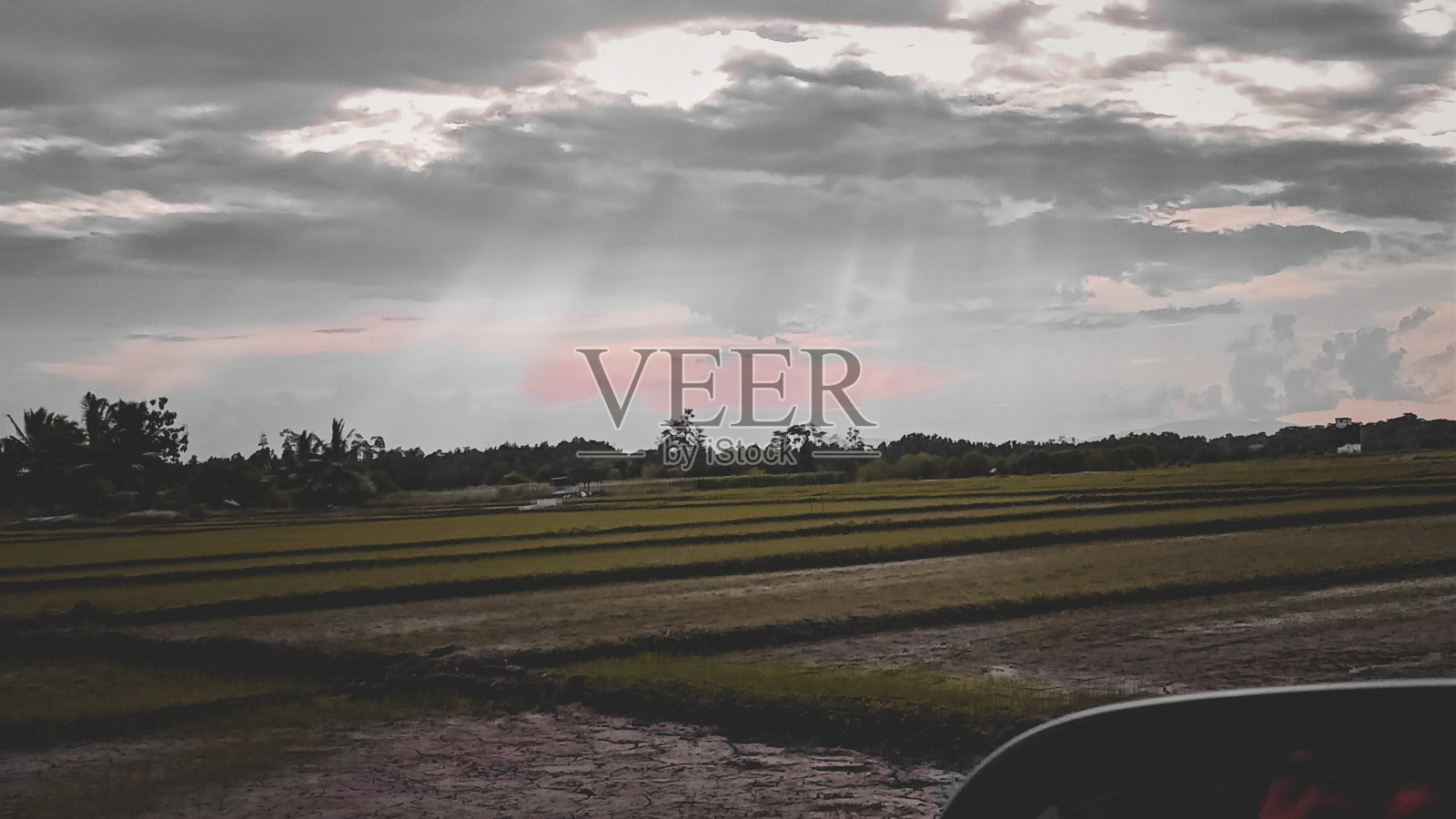 稻田上方的一缕光照片摄影图片