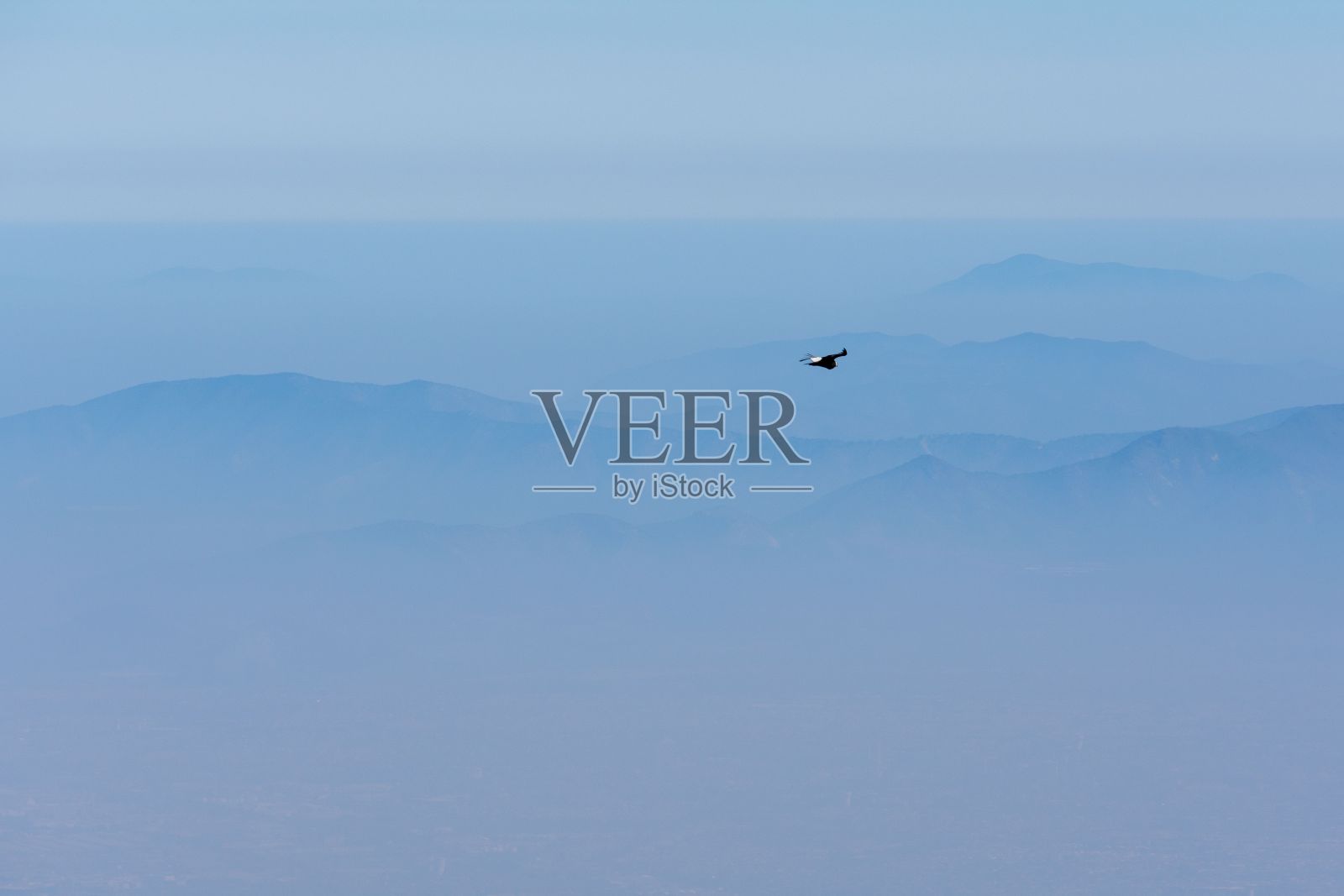 美丽的景色，一只鸟在蓝天上飞翔，地平线上有雾蒙蒙的山照片摄影图片