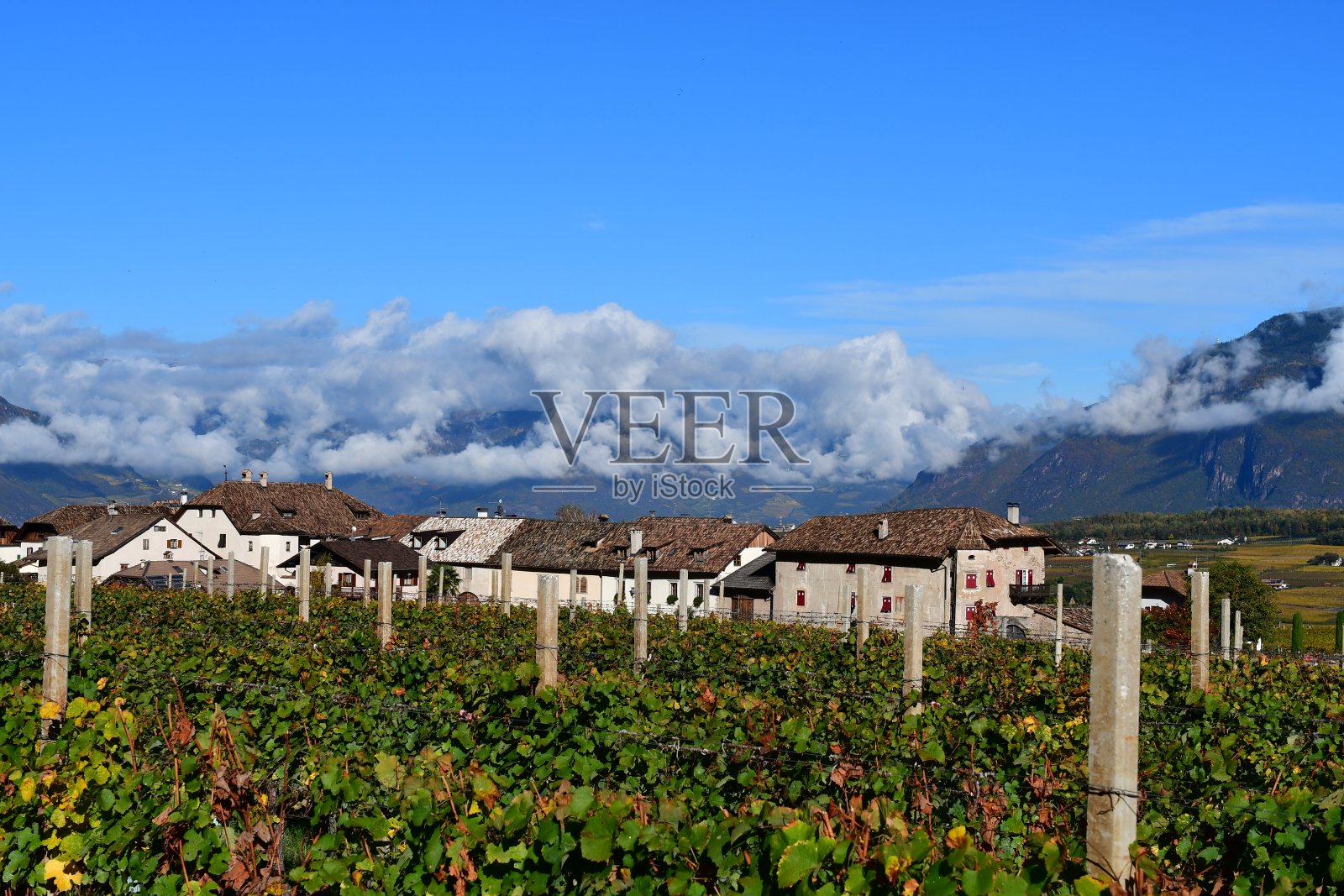 南蒂罗尔卡尔达罗周围的葡萄园和山脉照片摄影图片