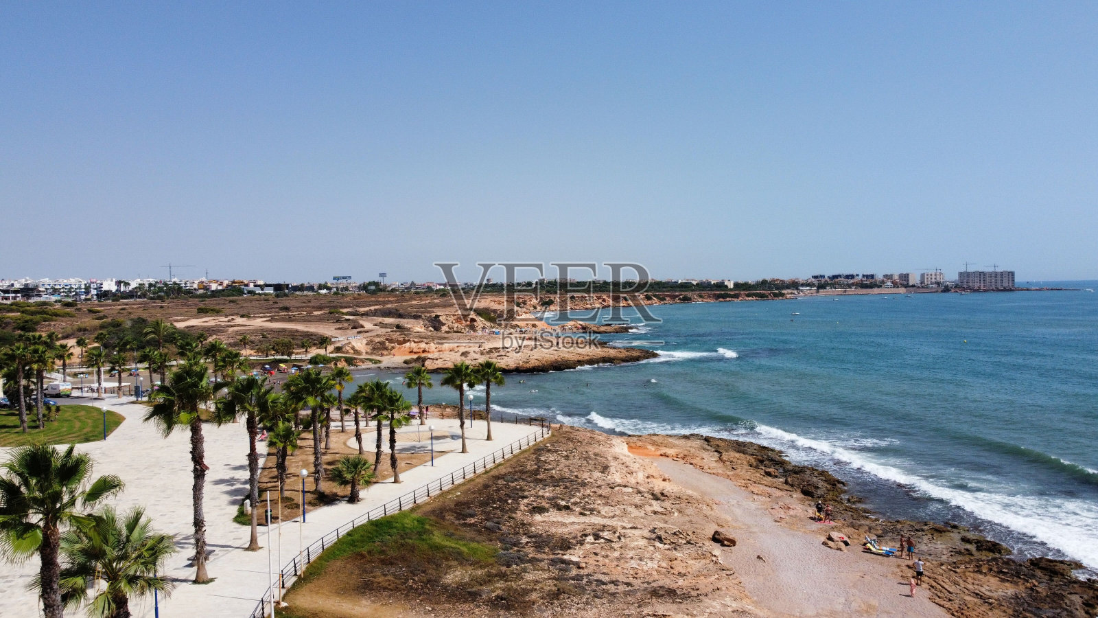 美丽的棕榈树在岩石海岸与蓝色的水和天空照片摄影图片