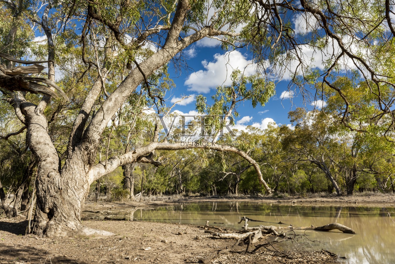 田野的风景，各种各样的植物倒映在湖中照片摄影图片