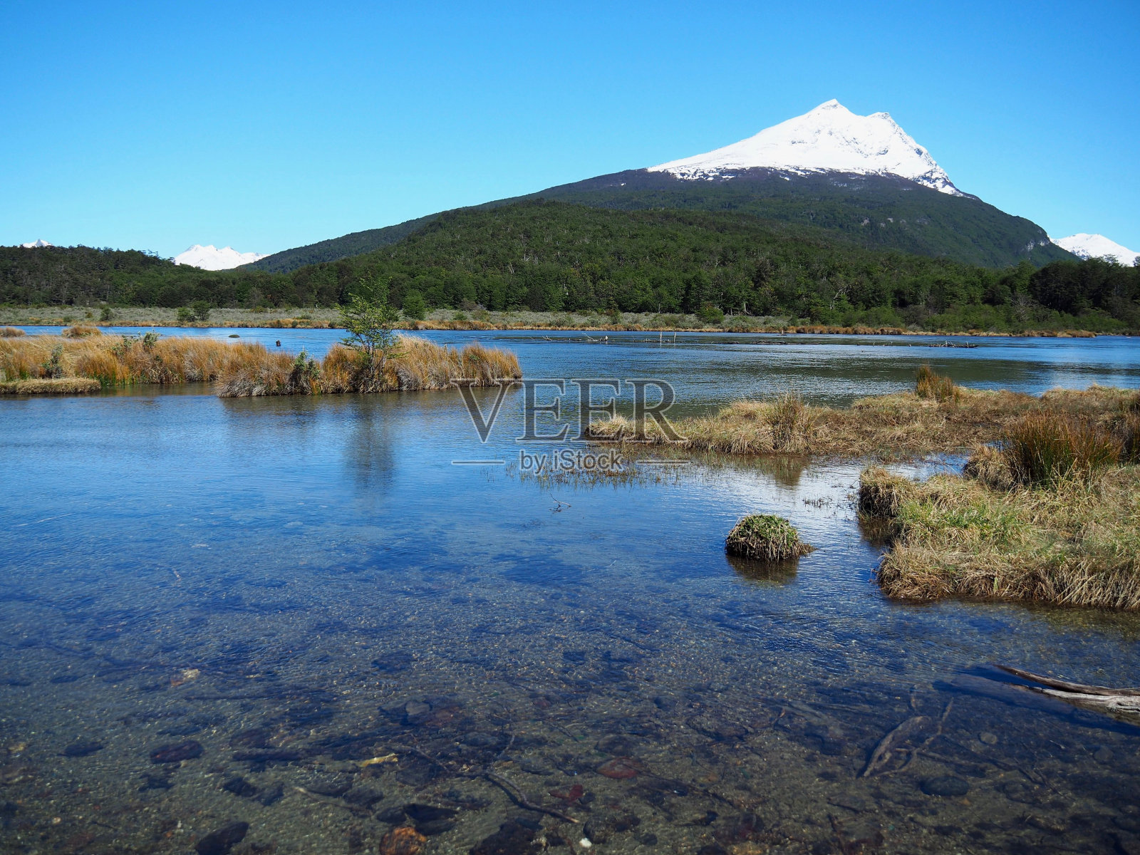 在火地岛国家公园，一个被绿色植物包围的湖泊和一座山的风景照片摄影图片