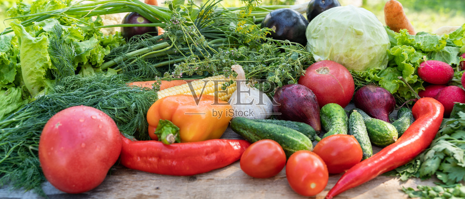 在乡间别墅的夏季花园中，新鲜蔬菜作为背景。照片摄影图片