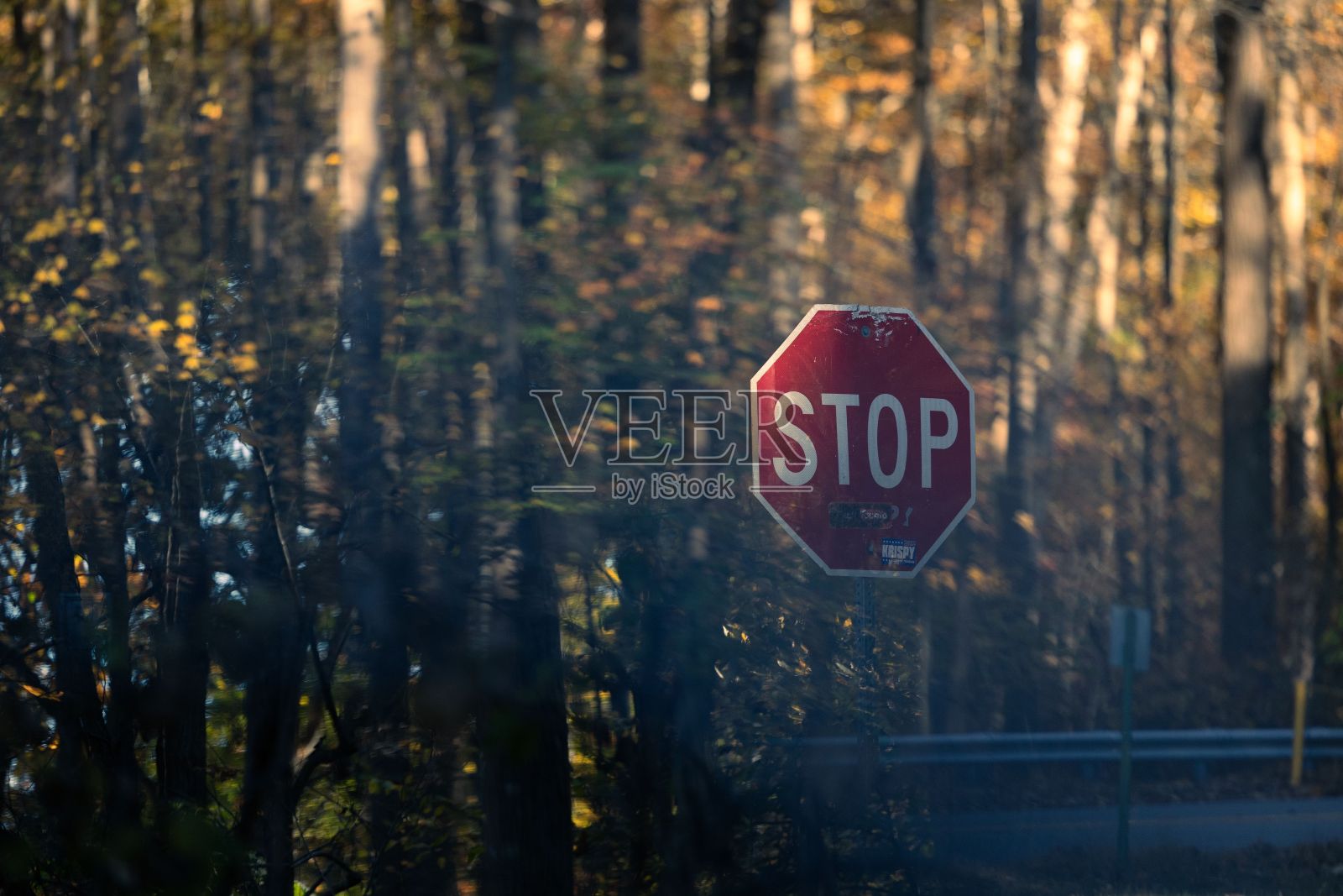 树木背景上的停车标志照片摄影图片