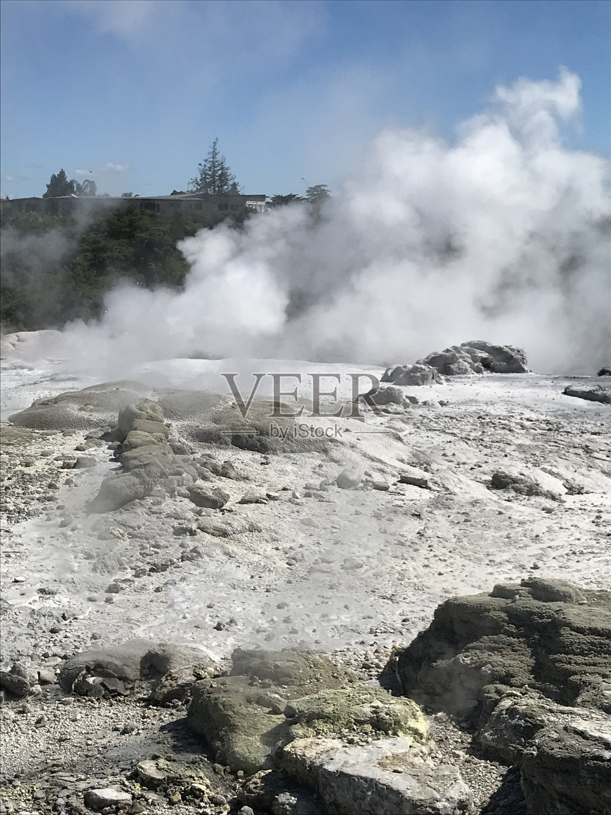 Rotarua新西兰照片摄影图片
