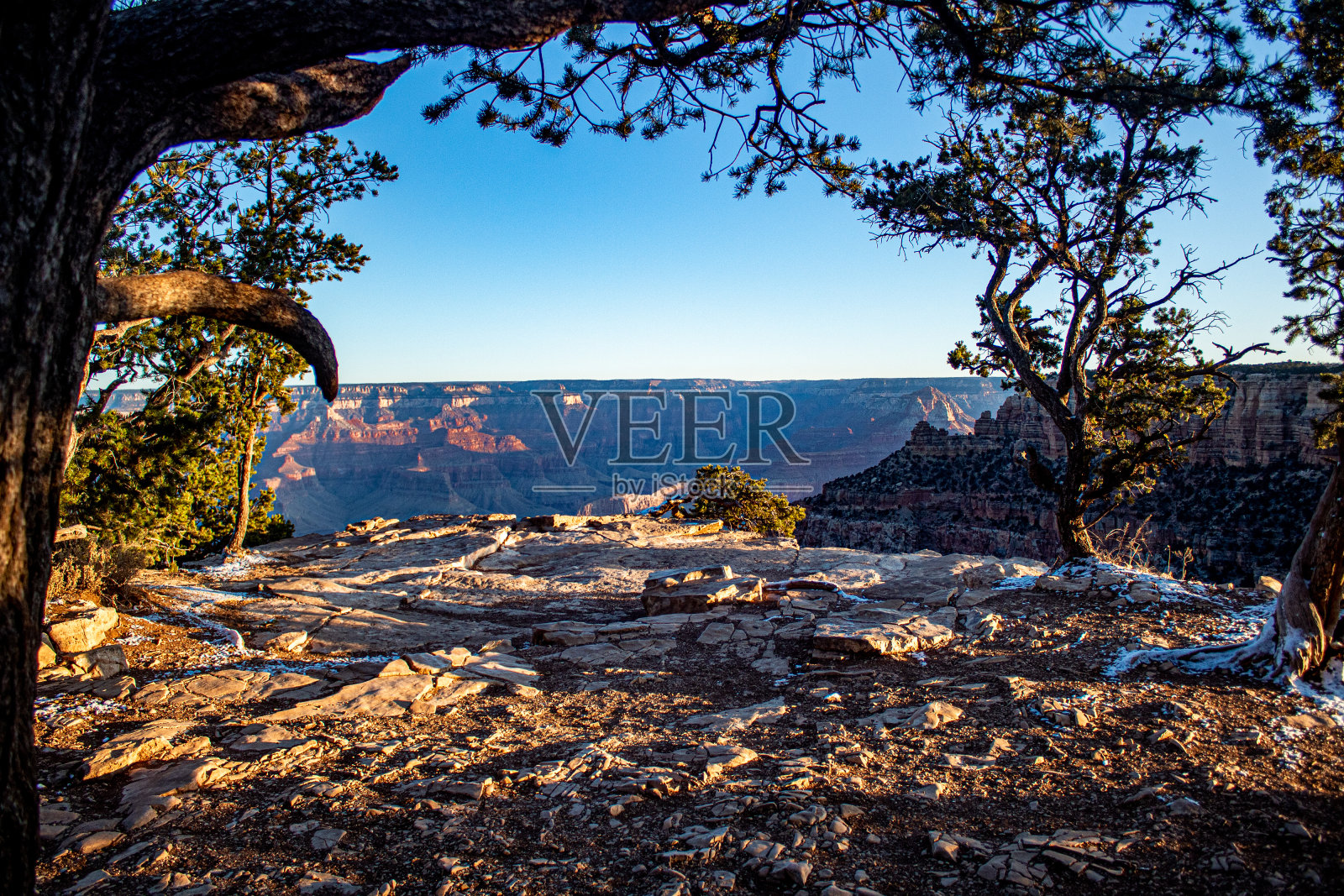 阳光和蓝天下覆盖着绿色植物的岩石景观照片摄影图片