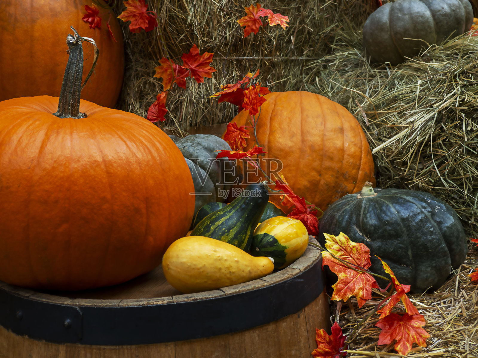 由不同大小的南瓜组成的图画。照片摄影图片