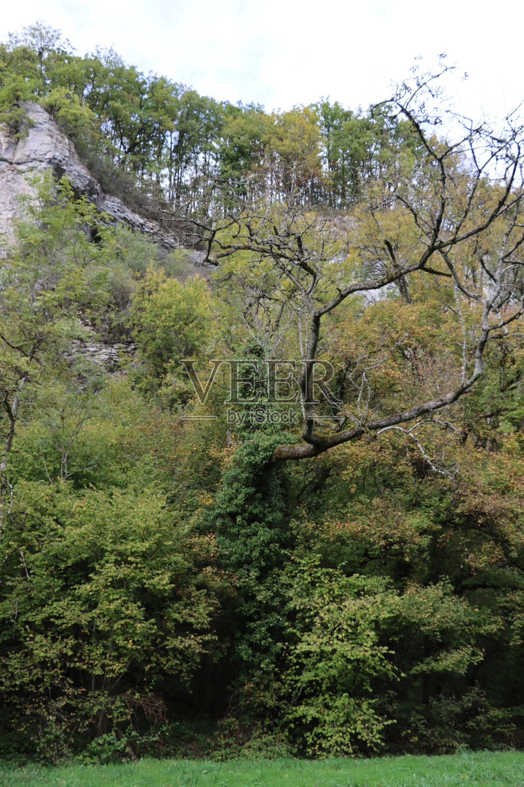 悬崖在勃艮第照片摄影图片