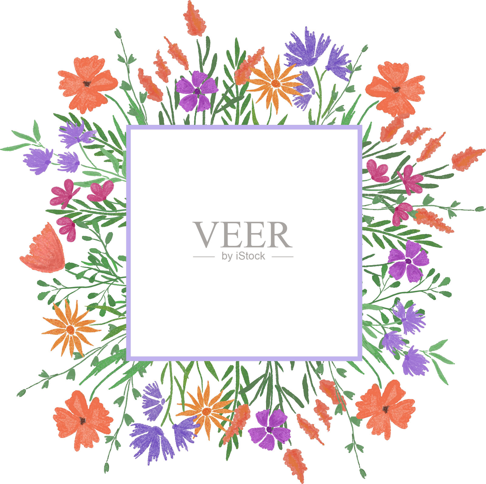 矢量手绘风格化野生药草和花卉的方框插画图片素材