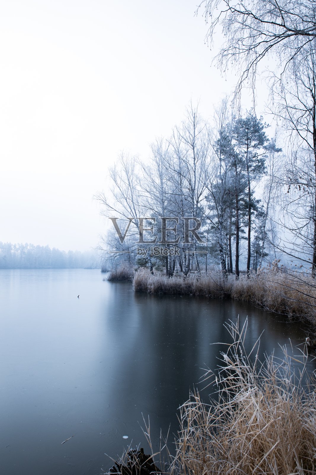 垂直高角度拍摄的干草和光秃秃的树附近的湖被雾覆盖的冬天照片摄影图片