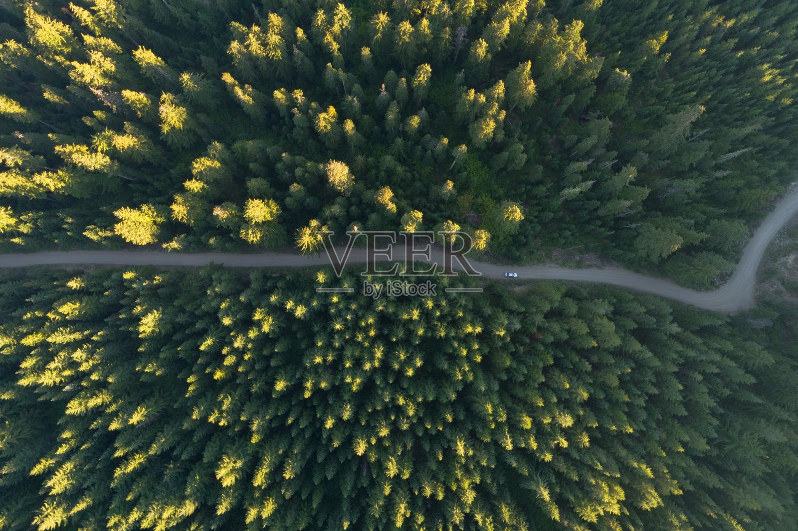 高角拍摄的道路在一个充满色彩的树木的秋天森林中间照片摄影图片