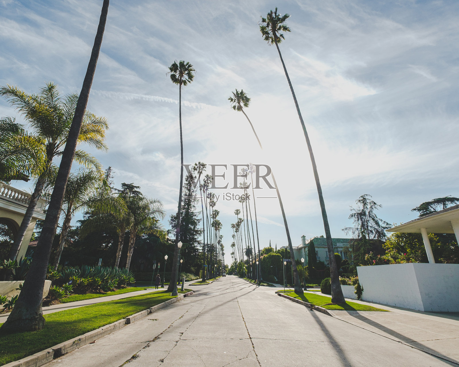 道路中间的建筑物和棕榈树下的蓝色多云的天空照片摄影图片
