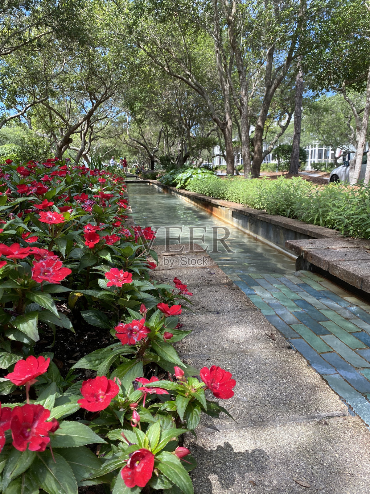 在公园散步照片摄影图片