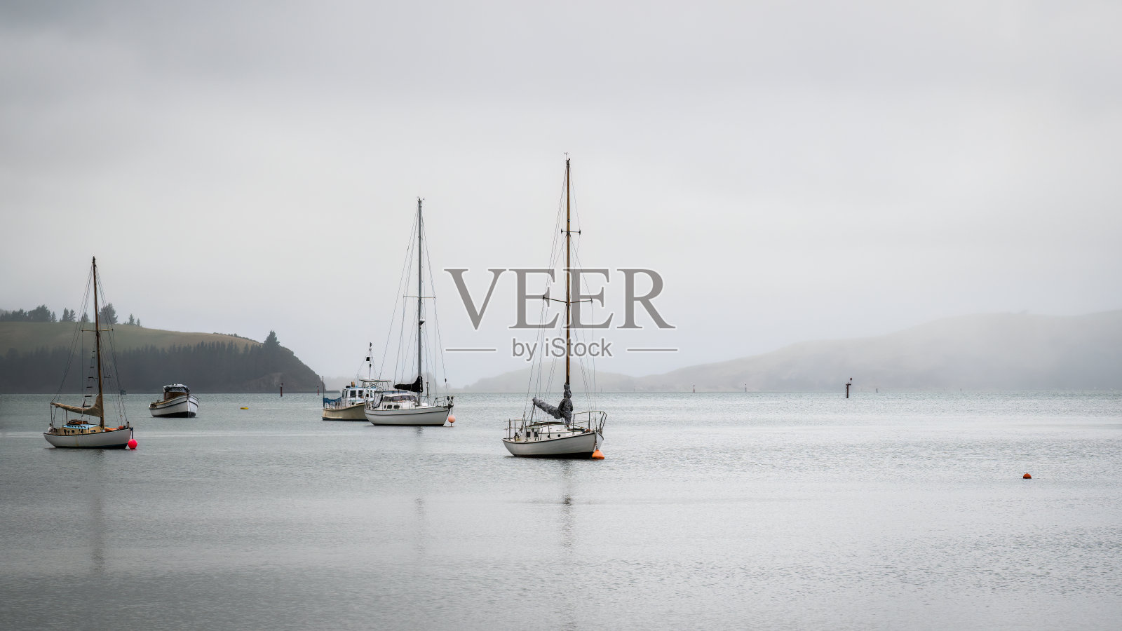 宁静的凯瑞斯湾港口，达尼丁。照片摄影图片