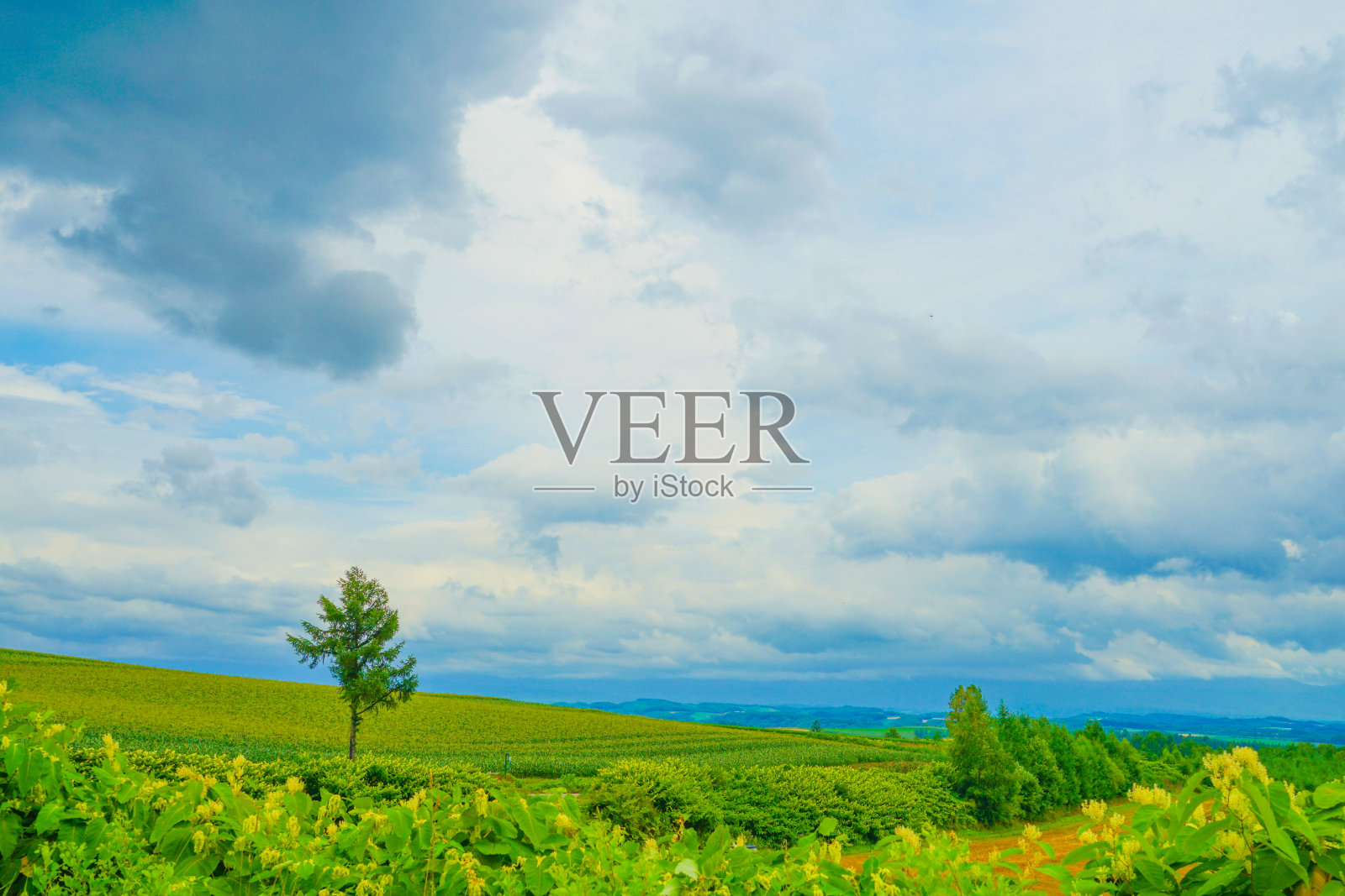 富拉诺斯平原和多云的天空照片摄影图片