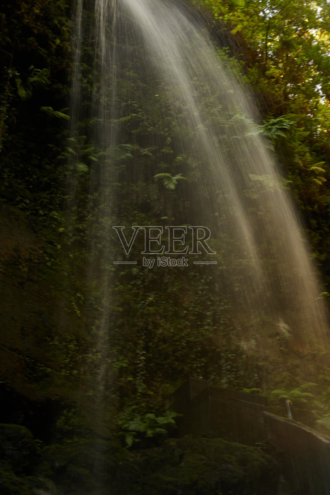 拉帕尔马岛上瀑布的丛林景观。加那利群岛。西班牙照片摄影图片