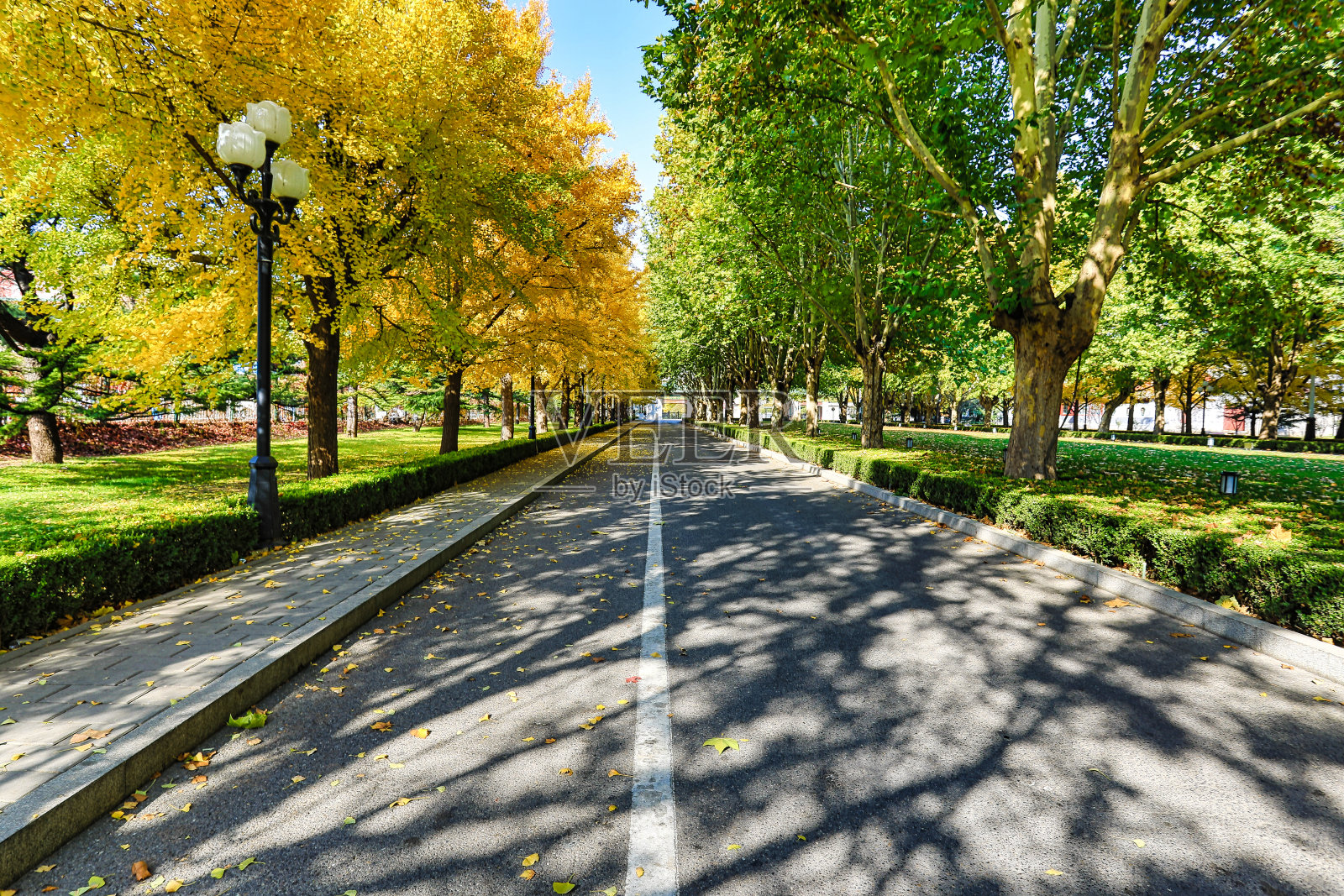 秋天的风景照片摄影图片