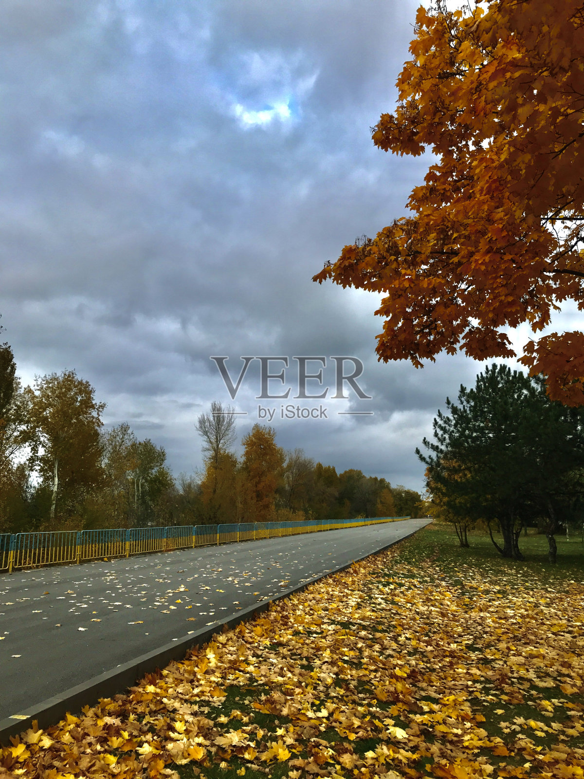 秋天的公园照片摄影图片