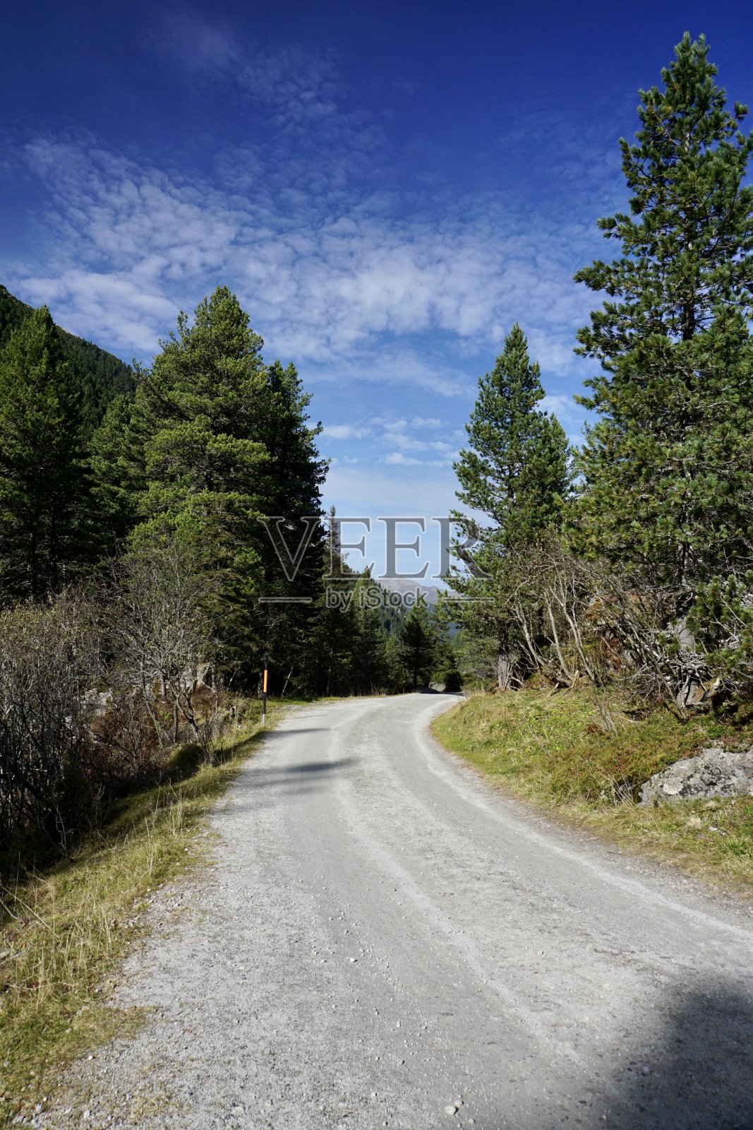 秋天，山与山之间的Avmtri山谷里的一条步道。漫步在奥地利的群山和针叶林之间。这条小路不通。徒步旅行在奥地利。照片摄影图片