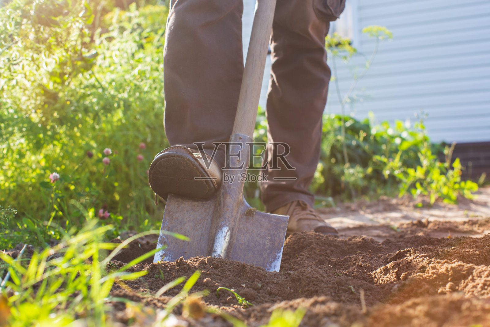 农夫在菜园里挖土。为种植蔬菜准备土壤。园艺的概念。种植园上的农业工作照片摄影图片