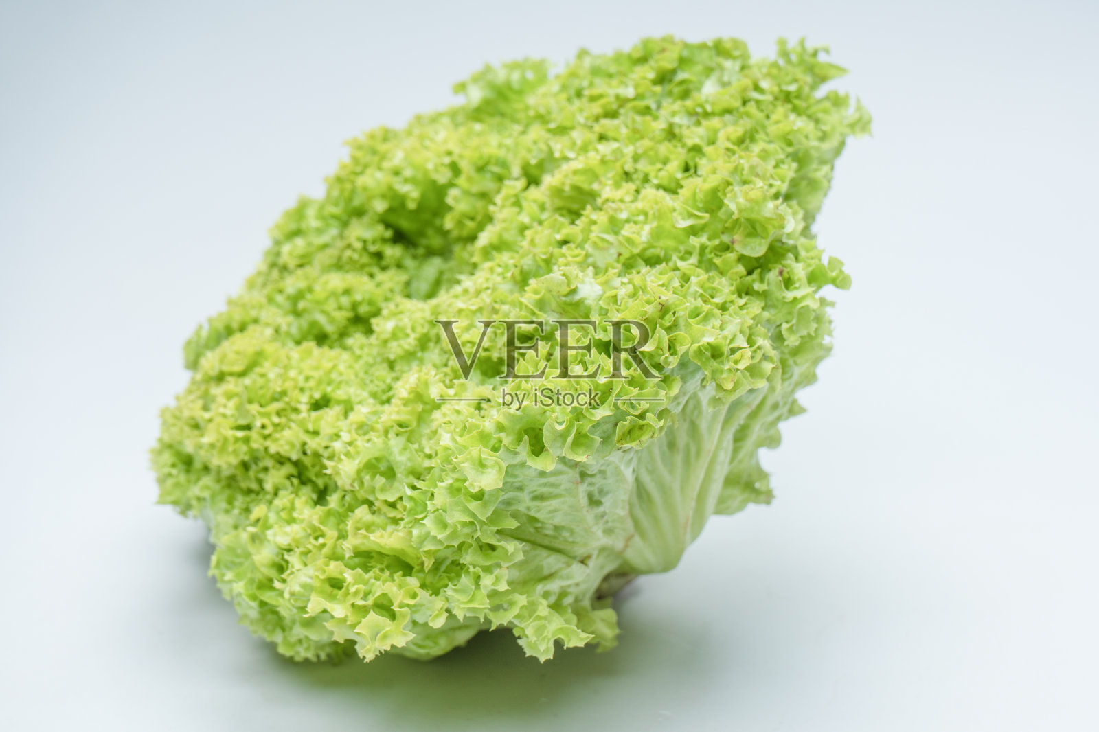 孤立在白色背景上的卷心莴苣。照片摄影图片