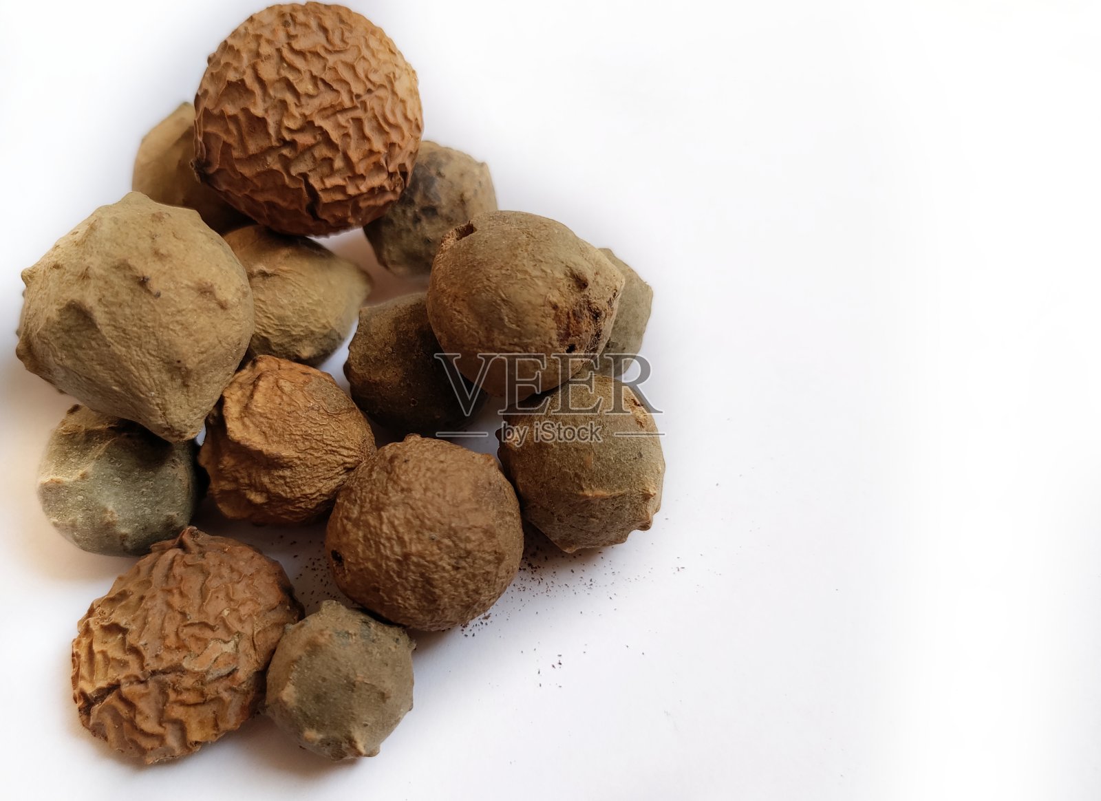 肉豆蔻- Mayaphala或Quercus infectoria是一种橡树，有瘿。照片摄影图片