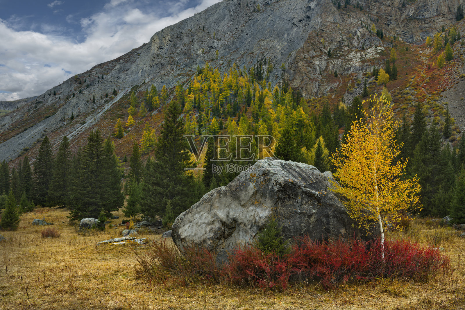 阿尔泰山谷里孤零零的石头照片摄影图片