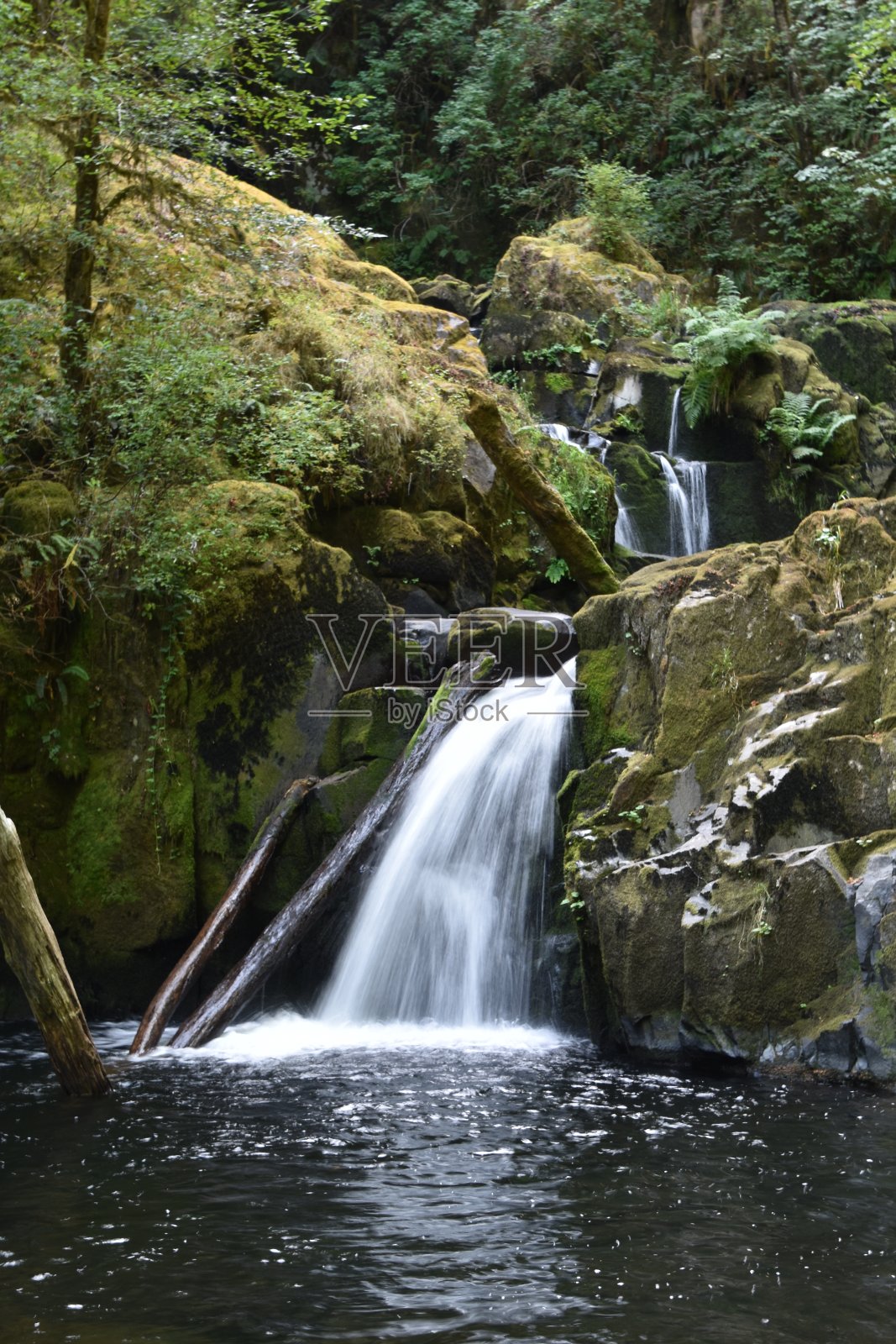 甜溪瀑布瀑布沿着俄勒冈州梅普尔顿附近的徒步小径。美国。照片摄影图片