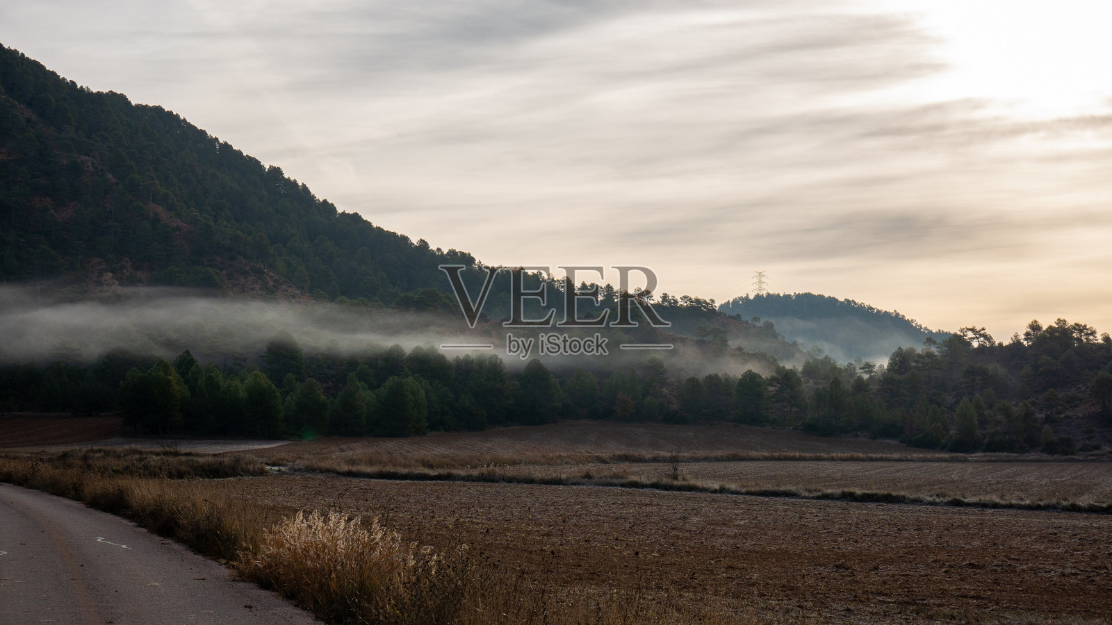 田野周围的山被森林覆盖和雾下多云的天空在晚上照片摄影图片