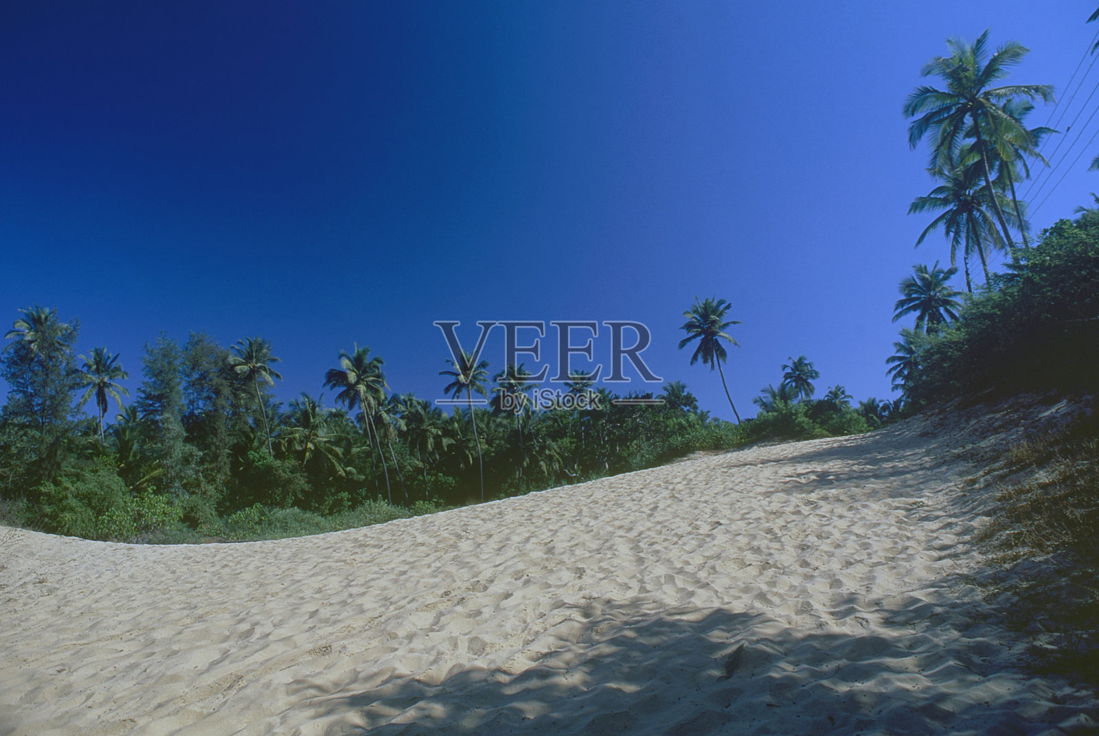 在Vengurla，白色光滑的沙滩和椰子树照片摄影图片