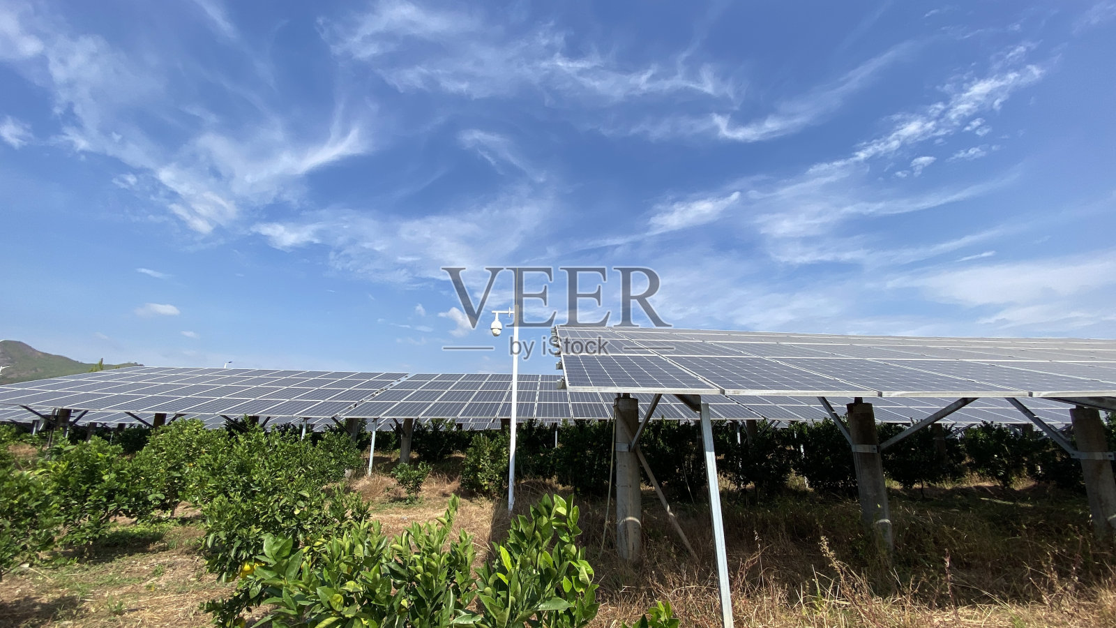 果园太阳能照片摄影图片