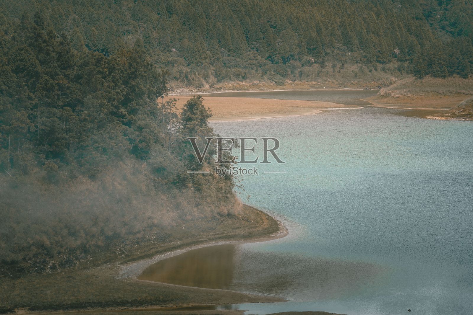 宁静的湖面被常青树环绕的美丽景色照片摄影图片