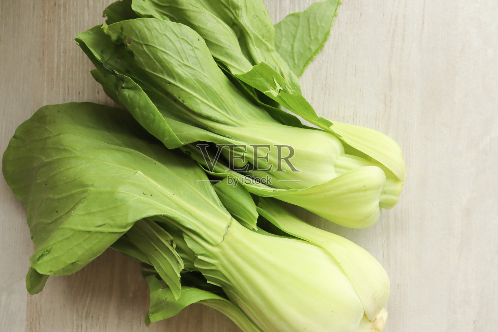 崔先生照片摄影图片