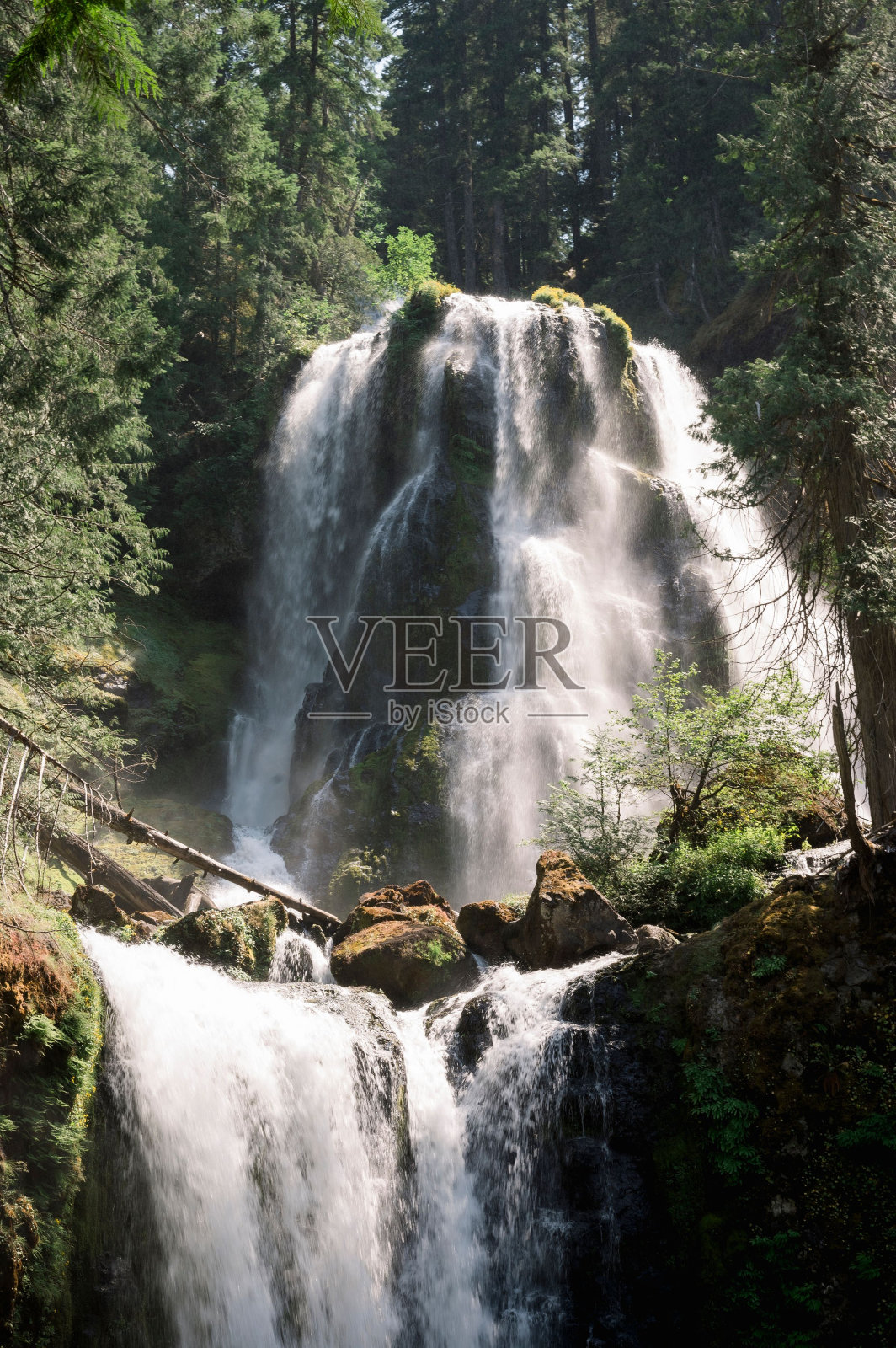 高溪瀑布在森林与树木，垂直拍摄在一个阳光灿烂的日子照片摄影图片