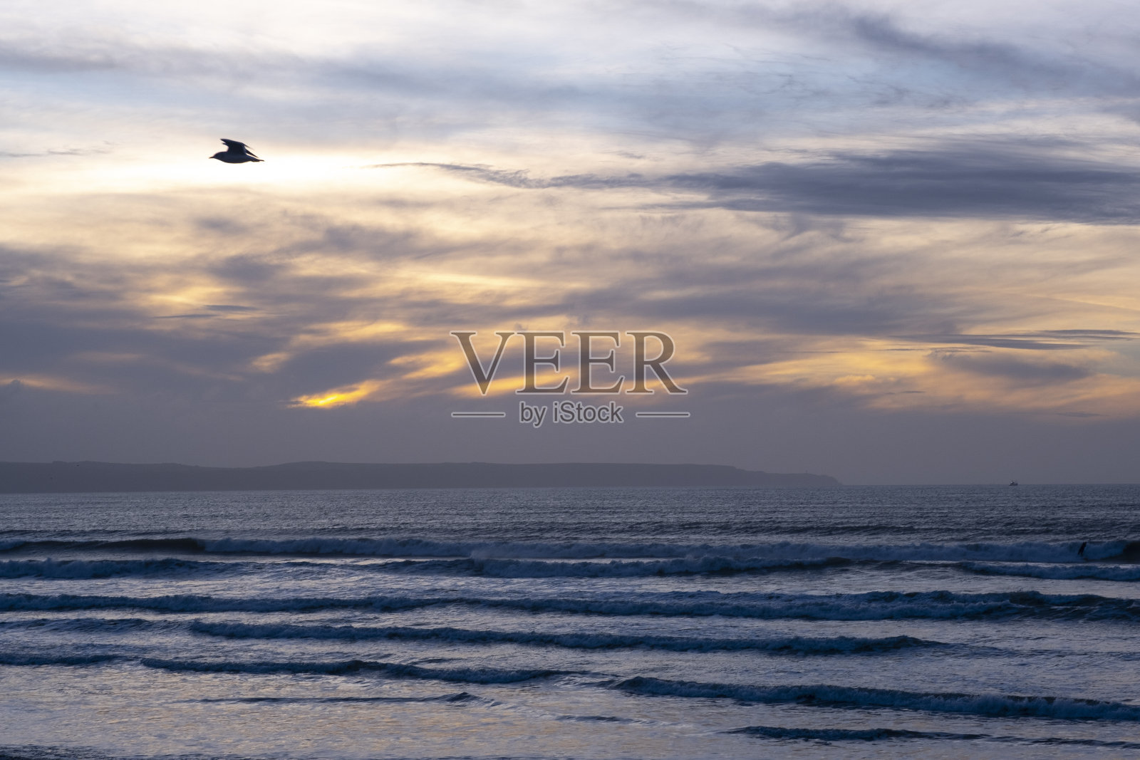 孤独的海鸥在夕阳下飞翔照片摄影图片