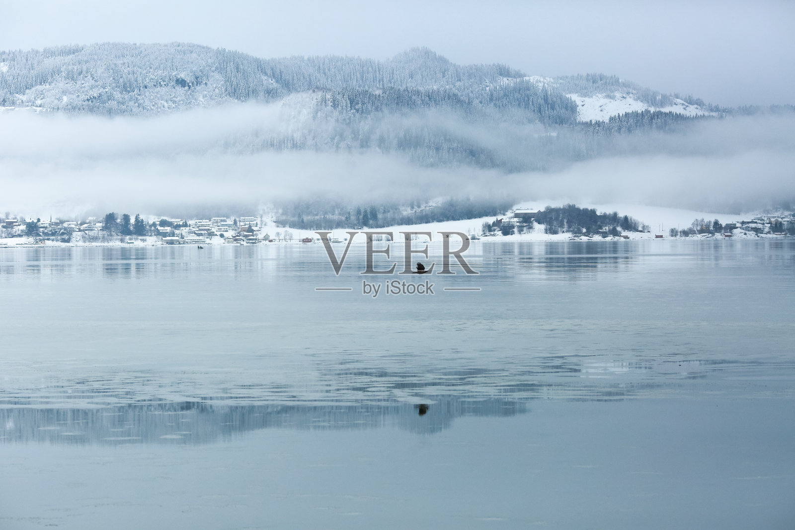 雾蒙蒙的冬日里，特隆赫姆峡湾上的乌鸦照片摄影图片