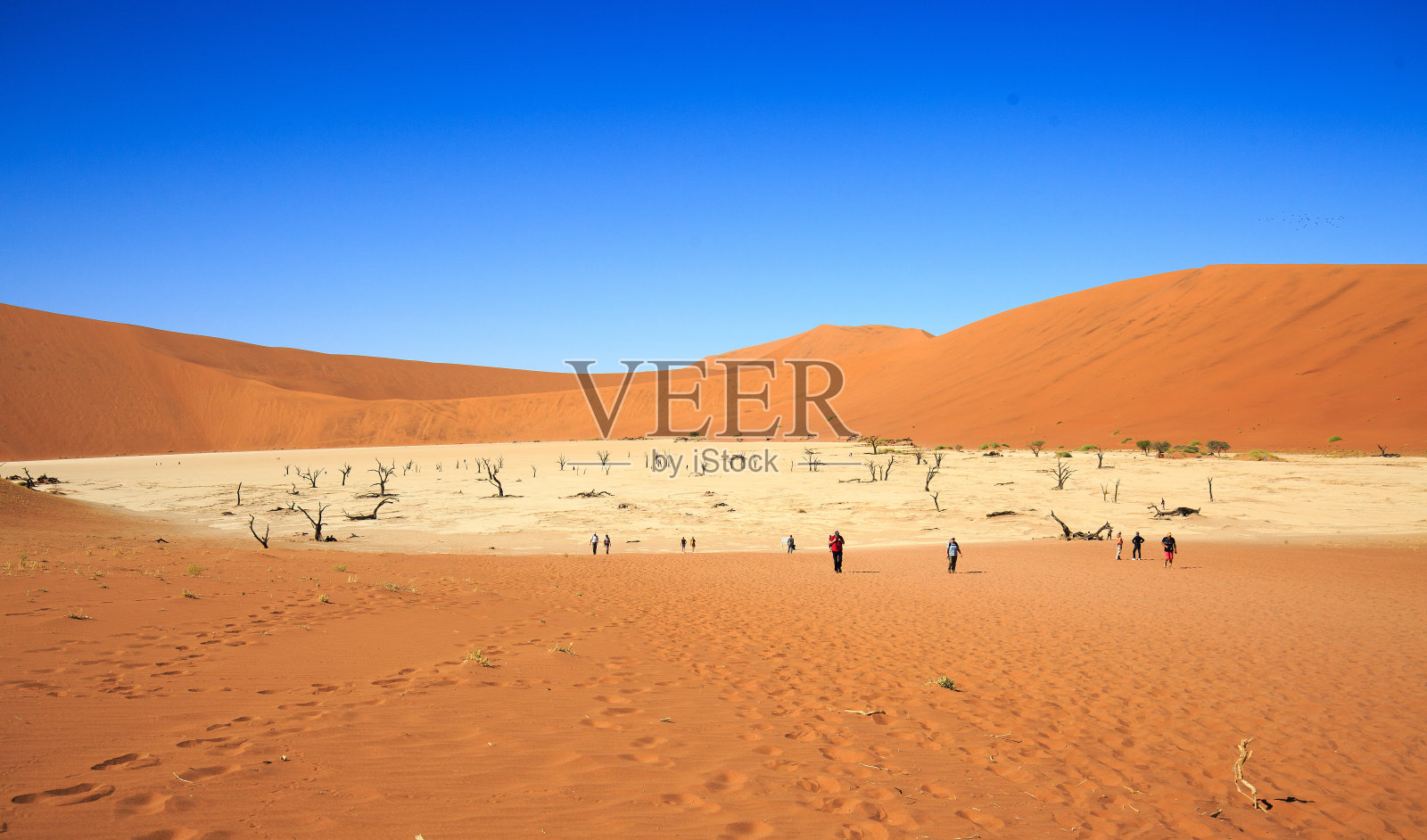 纳米布沙漠的Deadvlei盐田照片摄影图片