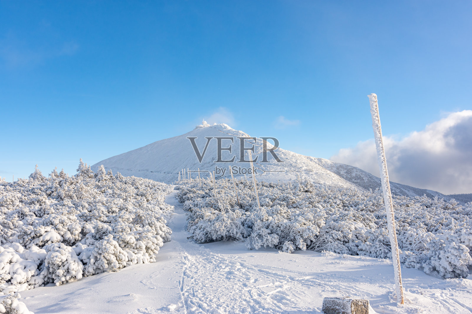 冬天的“斯涅兹卡”山和卡尔科诺兹山被雪覆盖照片摄影图片