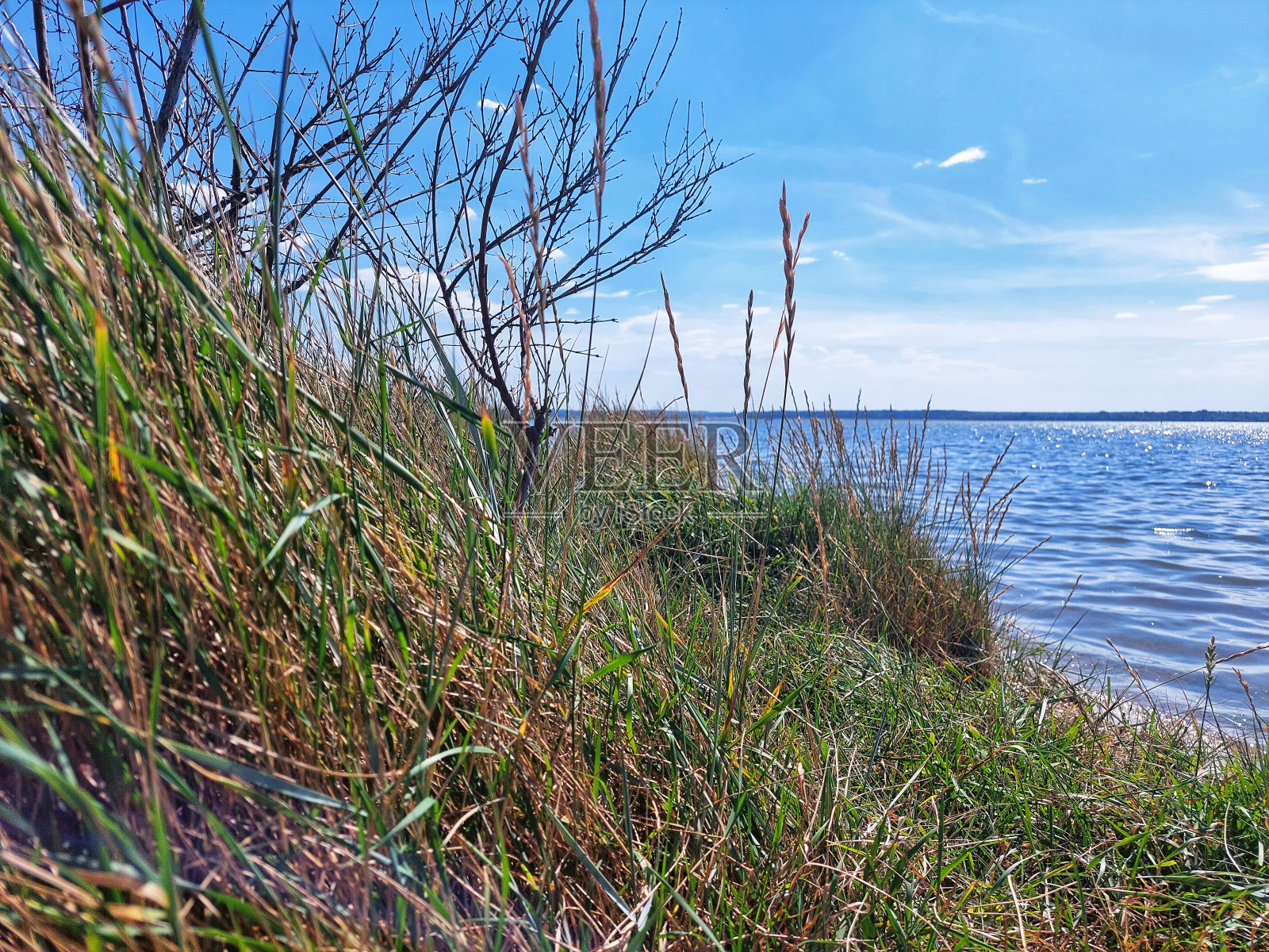 Küstenblick照片摄影图片