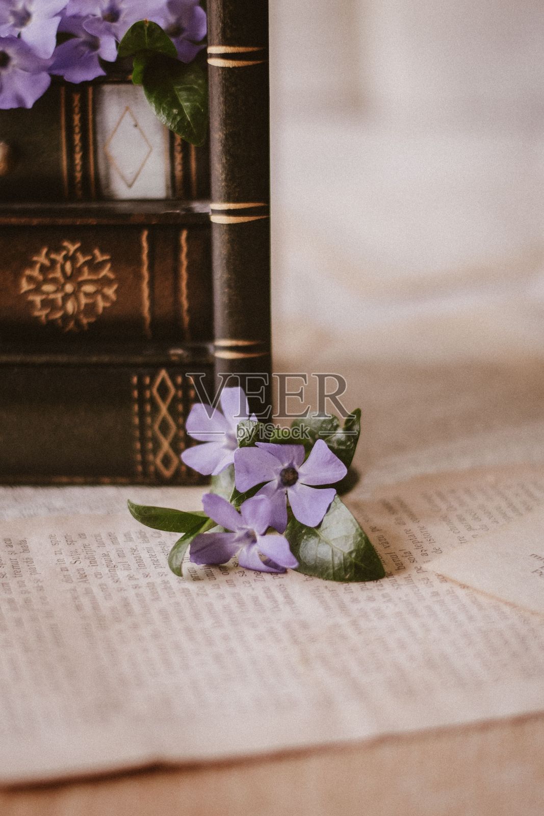 垂直拍摄的被丢弃的花束在老式的棕色书籍上照片摄影图片