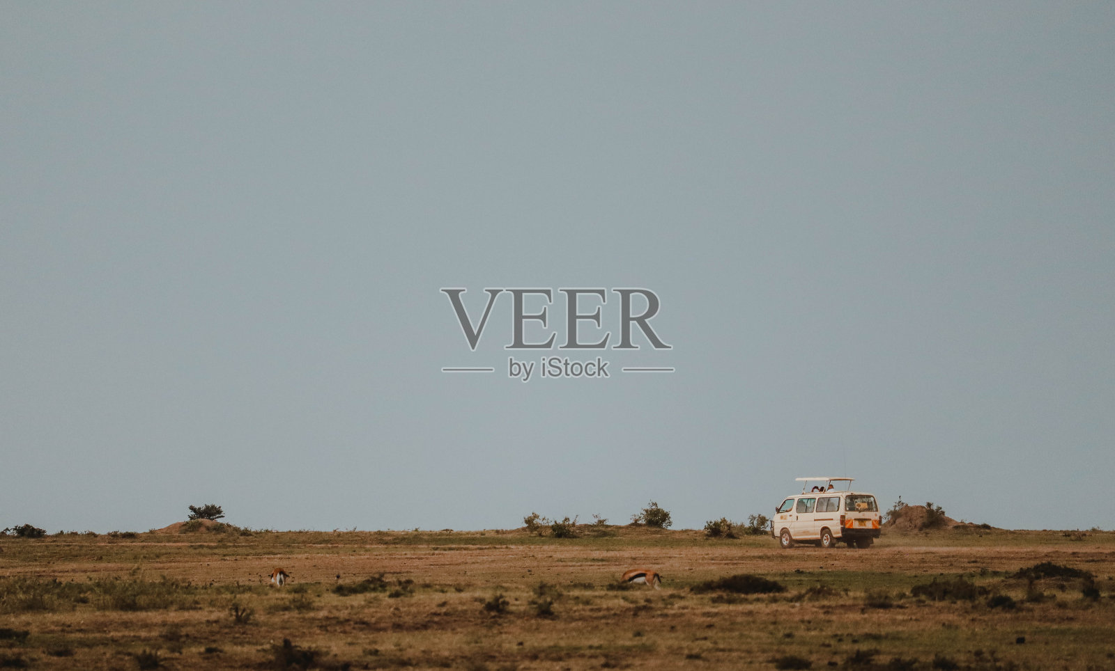 非洲野生狩猎的野性。探索大草原的吉普车。空的天空为复制空间照片摄影图片