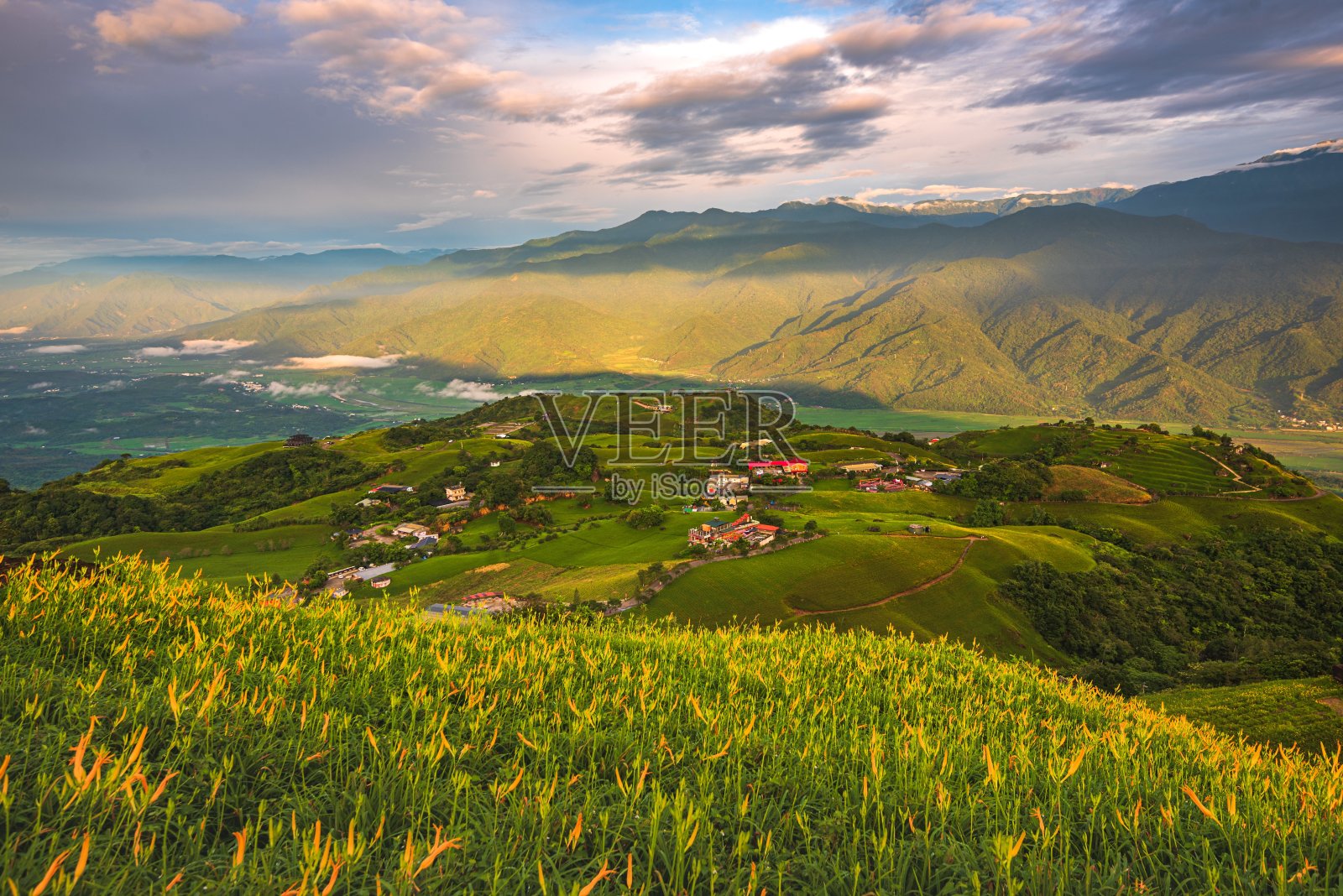 绿色田野的美丽照片，背景是村庄的房子照片摄影图片