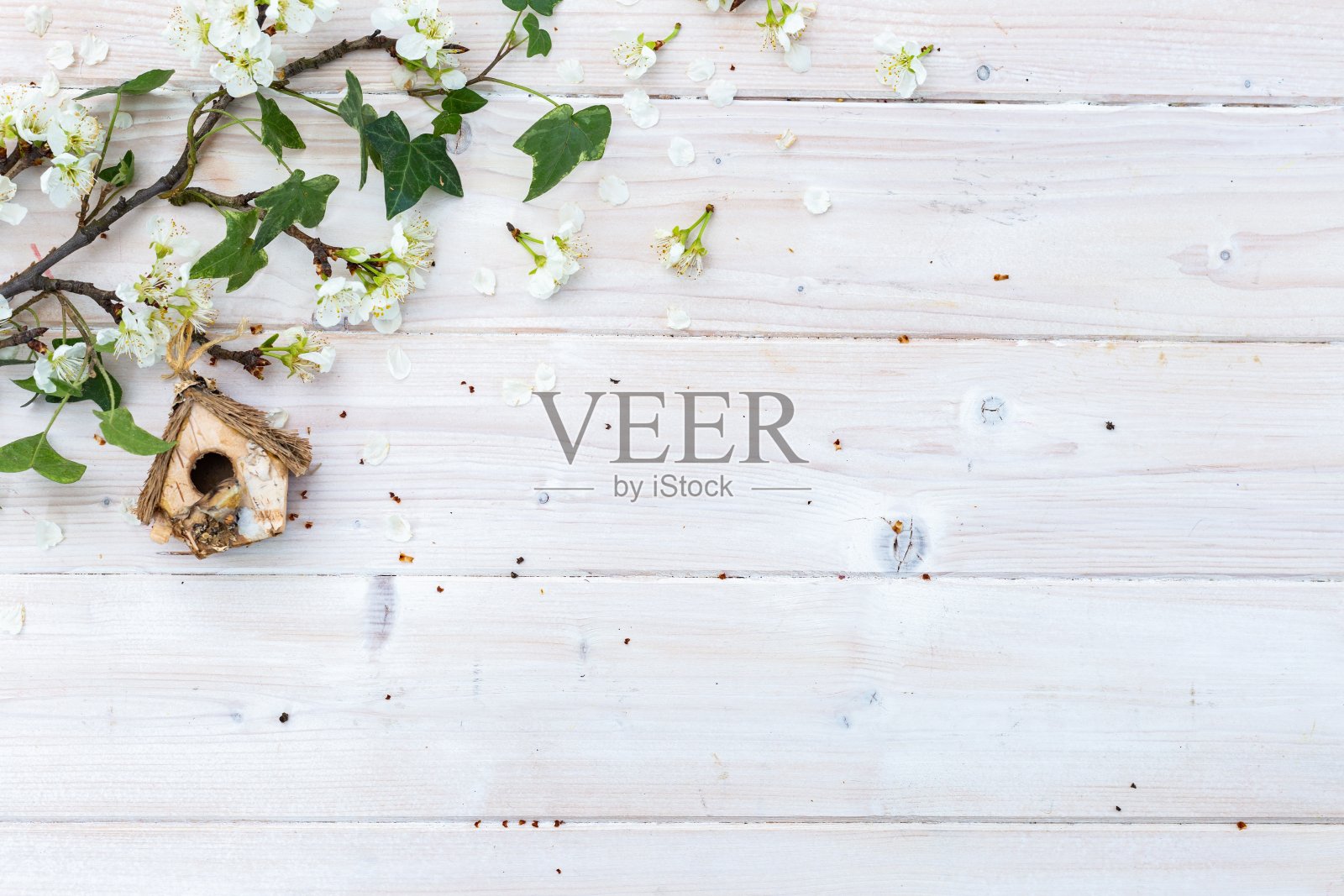 鸟屋和树枝和花在一个木桌上的空间，你的文本照片摄影图片