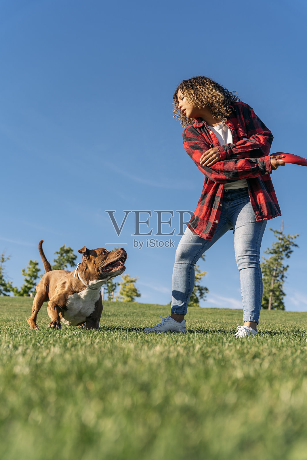 非洲妇女和她的狗玩耍照片摄影图片