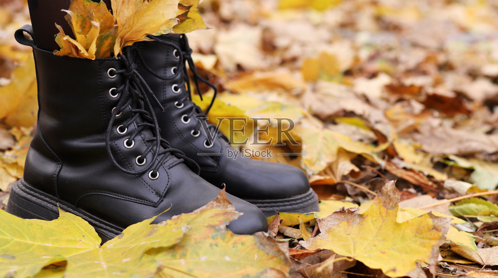 女式靴子用秋叶，秋天的概念照片摄影图片